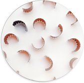 Forex Wandcirkel - Gescheurde Filmstukjes - 70x70cm Foto op Wandcirkel (met ophangsysteem)