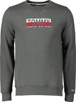 Tommy Jeans Pullover - Slim Fit - Grijs - XXL