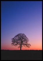 Poster Sunset Tree - 30x40cm Met Fotolijst - WALLLL