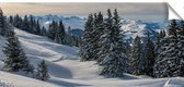 Kerstdorp achtergrond - 60x120 cm - Zwitserland - PVC - decoratie - winter poster - kerst decoratie -nature's gift - kerstversiering