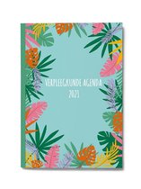 Verpleegkunde Agenda 2021