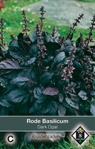Van Hemert & Co - Basilicum Dark Opal (Ocimum basilicum)