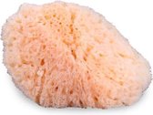Mehron Schminkspons | Natural Sea Sponge