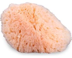 Mehron Natural Sea Sponge - Schminkspons voor cake make-up