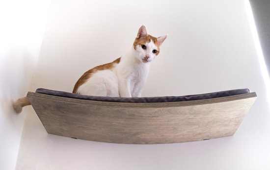Zwevend kattenplankje - plankje voor kat - klimmuur kat - kattenbed -  kattenmuur... | bol.com