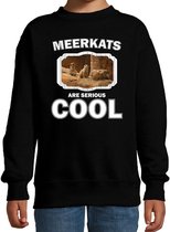 Dieren stokstaartjes sweater zwart kinderen - meerkats are serious cool trui jongens/ meisjes - cadeau stokstaartje/ stokstaartjes liefhebber 3-4 jaar (98/104)