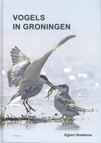 Vogels in Groningen