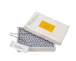 Een doosje vol inspiratie