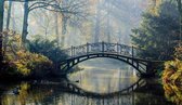 Fotobehang Oude brug in de herfst 250 x 260 cm - € 145