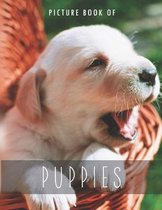 Picture Book of Puppies