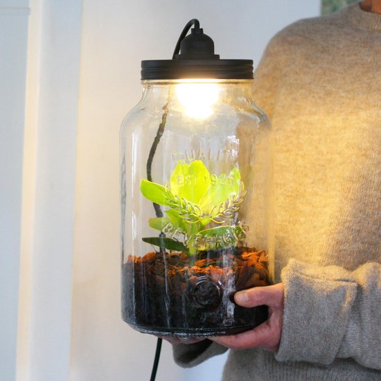 ontvangen ring Overzicht Plant terrarium met lamp | bol.com