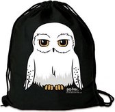 Harry Potter Gym Bag Hedwig