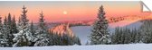 Kerstdorp achtergrond - 50x150 cm - pvc - winterlandschap zonsopgang - kerstversiering-  kerstdecoratie - kerstinterieur - modeltreinen - winterlandschap - kerstinterieur - modeltreinen