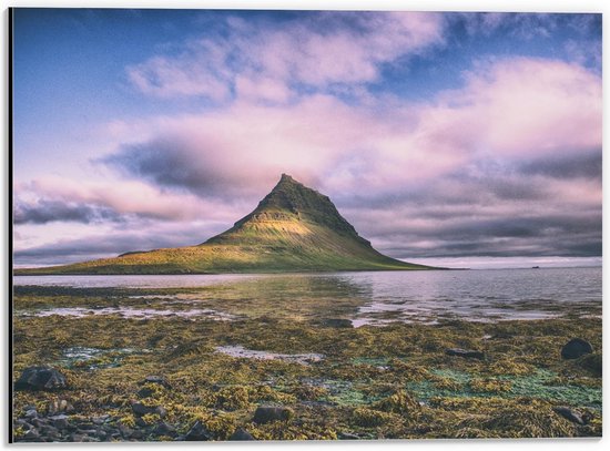 Dibond - Moerassig Gebied met Berg - 40x30cm Foto op Aluminium (Met Ophangsysteem)