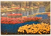 Holland Souvenirs Tulpen Puzzel 70 stukjes