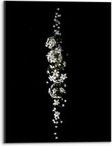 Acrylglas - Witte Bloemen op Zwarte Achtergrond  - 30x40cm Foto op Acrylglas (Wanddecoratie op Acrylglas)