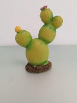 Decoratieve cactus van aardewerk