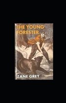 The Young Forester illustrated