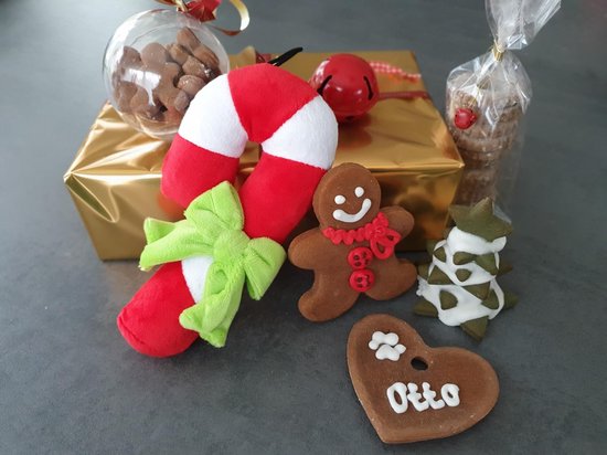 gordijn troon esthetisch Kerstpakket voor honden - handgemaakt - Glutenvrij - kerst met je hond |  bol.com