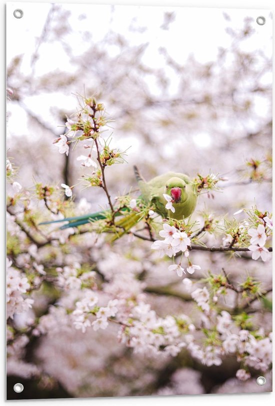 Tuinposter – Groene Vogel tussen de Bloesem - 60x90cm Foto op Tuinposter  (wanddecoratie voor buiten en binnen)