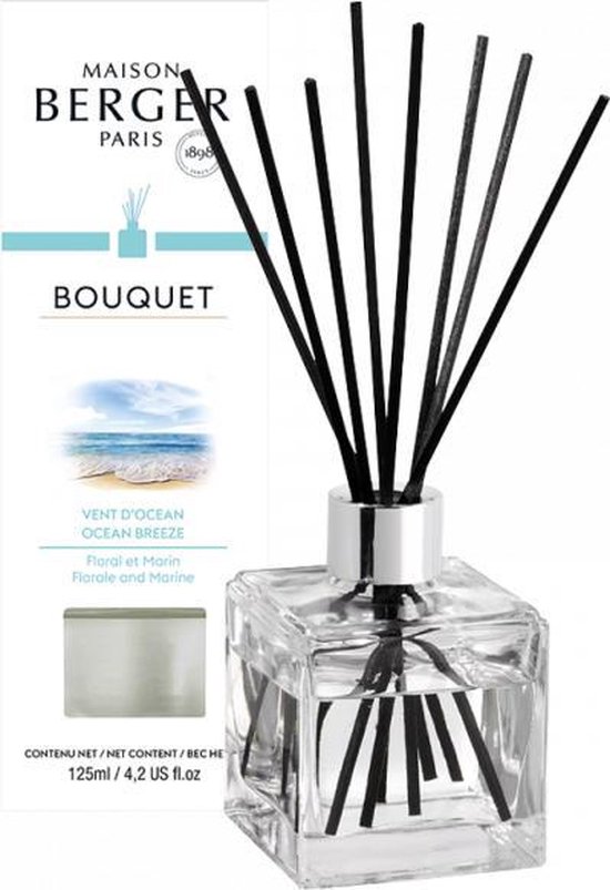 Maison Berger - Parfumverspreider Cube Vent d'Océan | bol.com