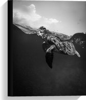 Canvas  - Zwemmende Schildpad in het Water (Zwart Wit) - 30x40cm Foto op Canvas Schilderij (Wanddecoratie op Canvas)
