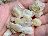 Royal HARRABI FRANKINCENSE - Boswellia Dalzielii - Top kwaliteit West Afrikaanse wierook hars . Nigeria. 25gr hars