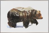 JUNIQE - Poster met kunststof lijst Arctische grizzlybeer double