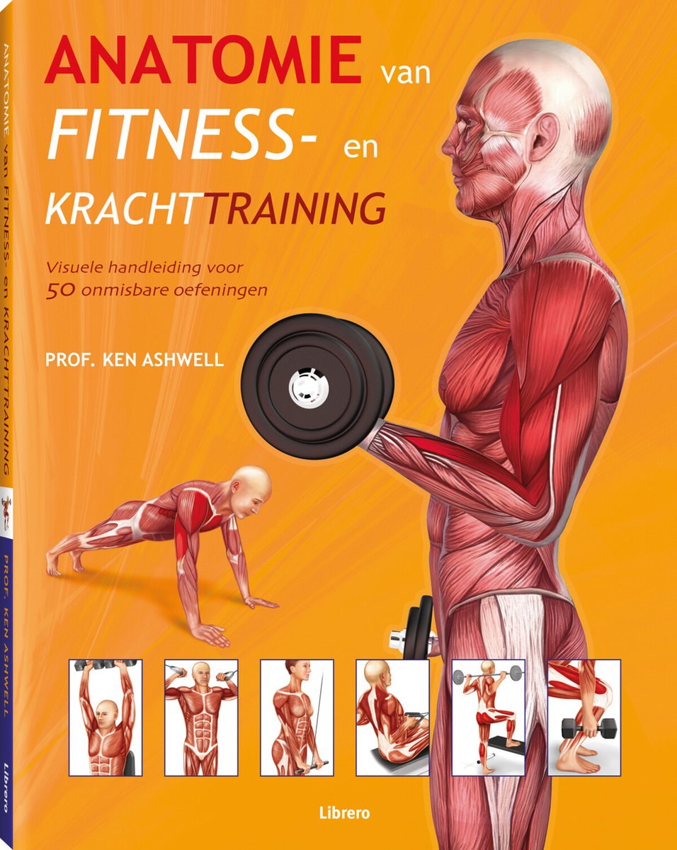 Evolueren boeket kloof Anatomie van fitness- en krachttraining, Ken Ashwell | 9789089983886 |  Boeken | bol.com