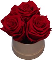 Fleurs de ville - Flowerbox  met longlife rozen - 3 rode rozen - Witte box velvet