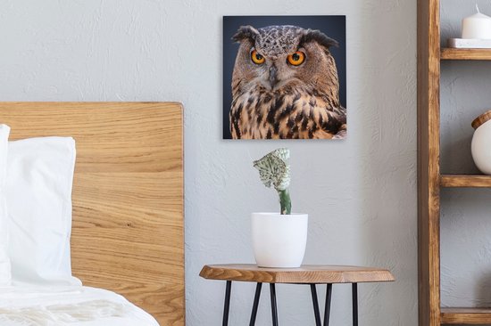Tableau sur toile Un gros plan d'un hibou marron - 20x20 cm - Décoration murale Art