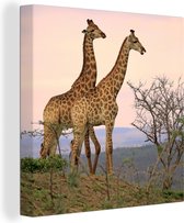 Canvas Schilderij Giraffes - Lucht - Landschap - 20x20 cm - Wanddecoratie