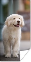 Poster Een Golden Retriever puppy lopend op de stoep - 20x40 cm