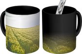 Magische Mok - Foto op Warmte Mok - Landbouw in de vroege ochtend - 350 ML