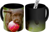 Magische Mok - Foto op Warmte Mok - Een bruine puppy met een roze bal - 350 ML