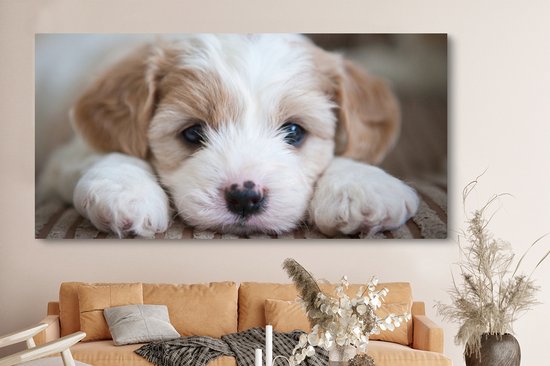 Tableau sur toile Gros plan d'un chiot Cavachon - 160x80 cm - Décoration murale