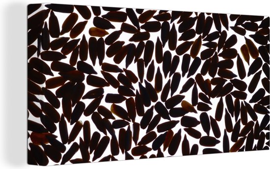 Canvas Schilderij Zwarte zonnebloempitten silhouetten - 40x20 cm - Wanddecoratie