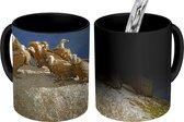 Magische Mok - Foto op Warmte Mok - Groep vale gieren op een rots in Spanje - 350 ML