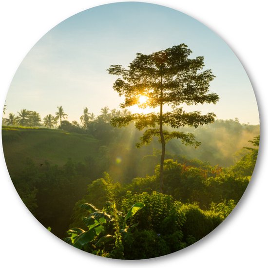 Bali Jungle - Muurcirkel - Wandcirkel voor buiten - Aluminium Dibond - Minimalist - Landschap