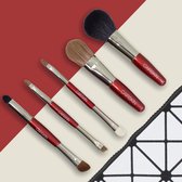 CAIRSKIN Professional Brush Set - 5 Cherry Red Travel Brush Set + Beauty Etui - Make-up Kwasten - Vegan Synthetic Fibers - Professionele Make-up Penselen - Basic Make-up Applicatio
