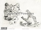 A4 Powerprint paper Cheetah