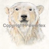 A4 Powerprint paper Bear colour