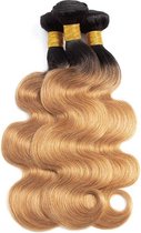 Mandy’s Haar Extensions - Hair Extensions - 100 % Echt Haar - Dubbel Geweven - Hoge Kwaliteit - 1 Bundel - Zwart, Blond - 25.5 cm