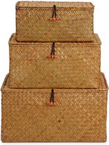 Rotan Mand Zeegras Opslagmand met Deksel Natuurlijk Materiaal 3 stuks (Groot + Middel + Klein)
