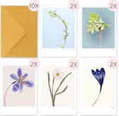 Gevouwen wenskaarten - Bloemen - set - lente - envelop - wenskaarten - botanisch - zonder tekst - voorjaar - kunstkaart - bijzondere kaart