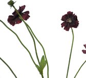 Fabulous Flowers - 3 stuks cosmos spray mini burgundy - zijden cosmos