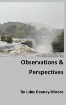 Observations and Perspectives