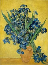 Vincent van Gogh - Irises (1889)