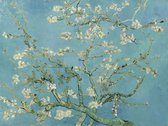 Vincent van Gogh - Almond Blossom (1890)