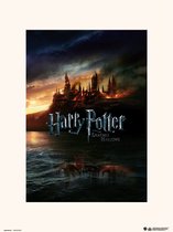 HARRY POTTER AND THE DEATHLY HALLOWS - Art Collector Print 30x40 cm